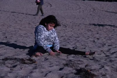 DSC_0522 (Large).JPG